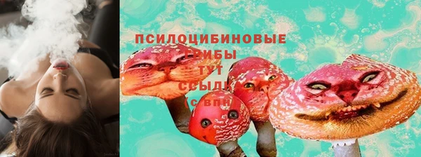 твердый Майский