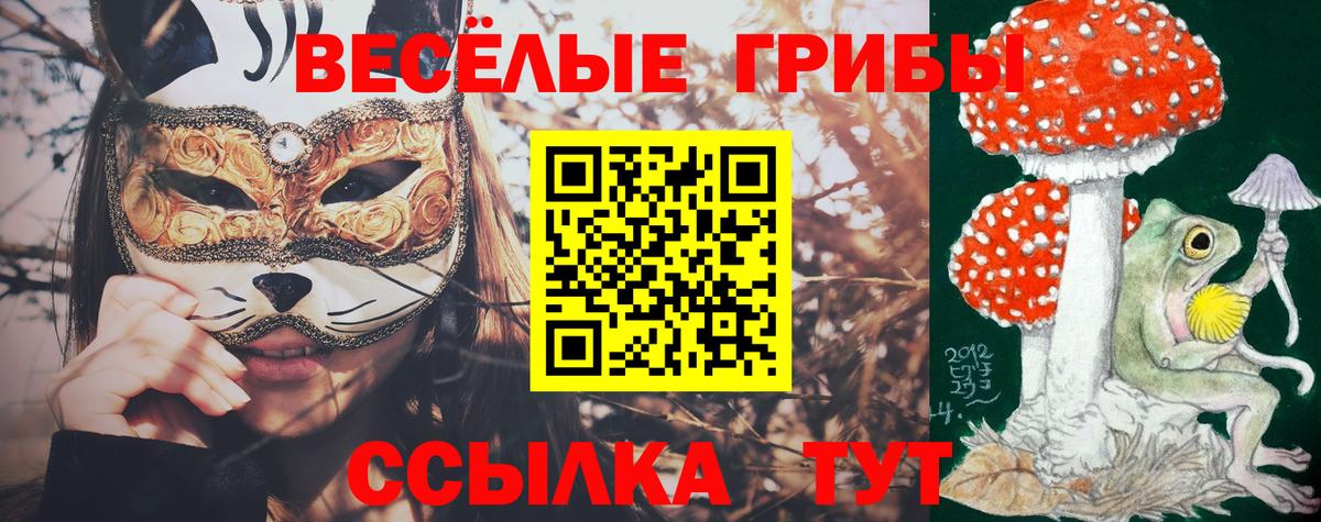 Галлюциногенные грибы GOLDEN TEACHER Губкин
