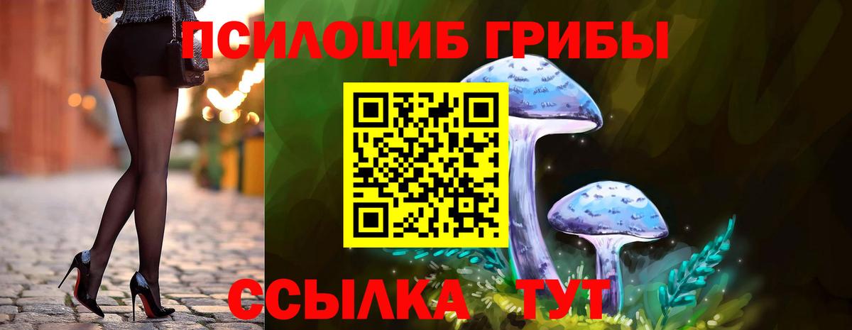 Галлюциногенные грибы Cubensis  Вход с VPN  Губкин  Галлюциногенные грибы MAGIC MUSHROOMS 