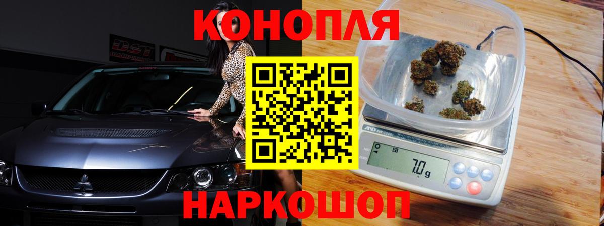 Бошки марихуана AK-47  Каннабис индика  Губкин  Бошки Шишки Ganja 